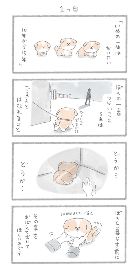 名称未設定のアートワーク 42