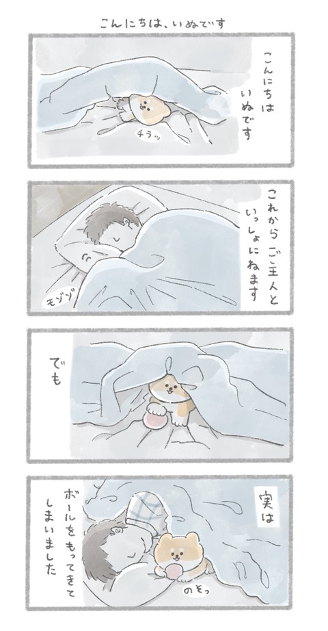 名称未設定のアートワーク 336