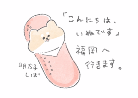 スクリーンショット 2020-12-22 16.50.02