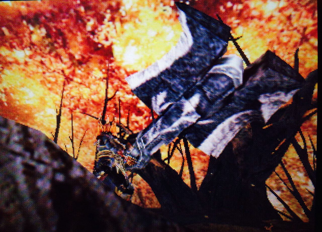 モンハンクロス ダブルクロス 笛吹いたり貫通撃ったりたまに切ったり モンハンクロス ダブルクロス 笛吹いたり貫通撃ったりたまに切ったり