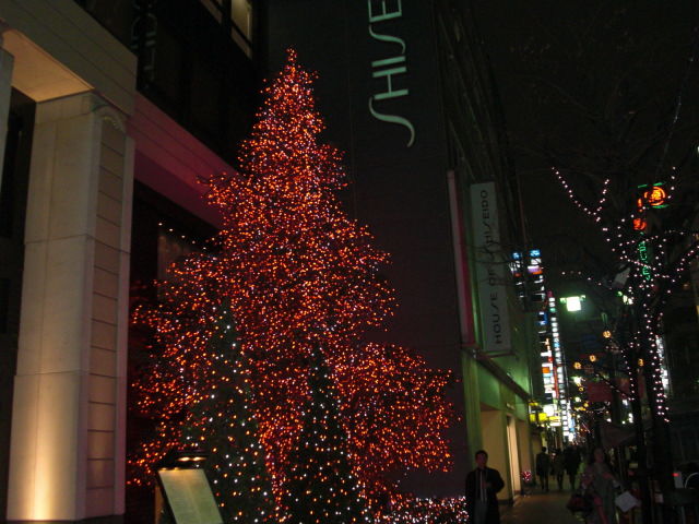08年度クリスマスイルミネーション 銀座資生堂ビル前イルミネーション グルメ三昧 08年度クリスマスイルミネーション 銀座資生堂ビル前イルミネーション グルメ三昧