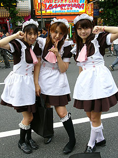 CD 完全ベスト宣言 完全メイド宣言 メイド喫茶 メイドカフェ クラシックCD・DVD・ブルーレイ - CD 完全ベスト宣言 完全メイド