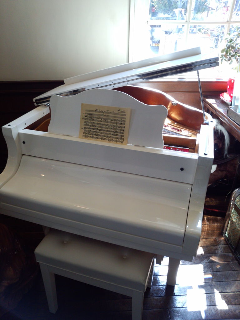 スカーレットの小鳥 加古川 ジュン コスメハウス日記