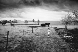 nature_angelboy_field02