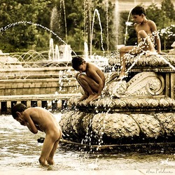 park_pond_rumania_2008