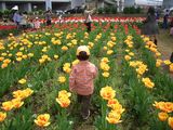 行進