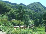 山