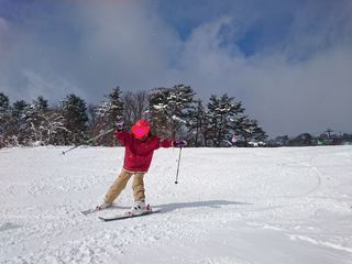 sketch-1547355113259