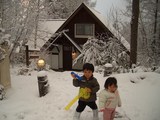 コテージ