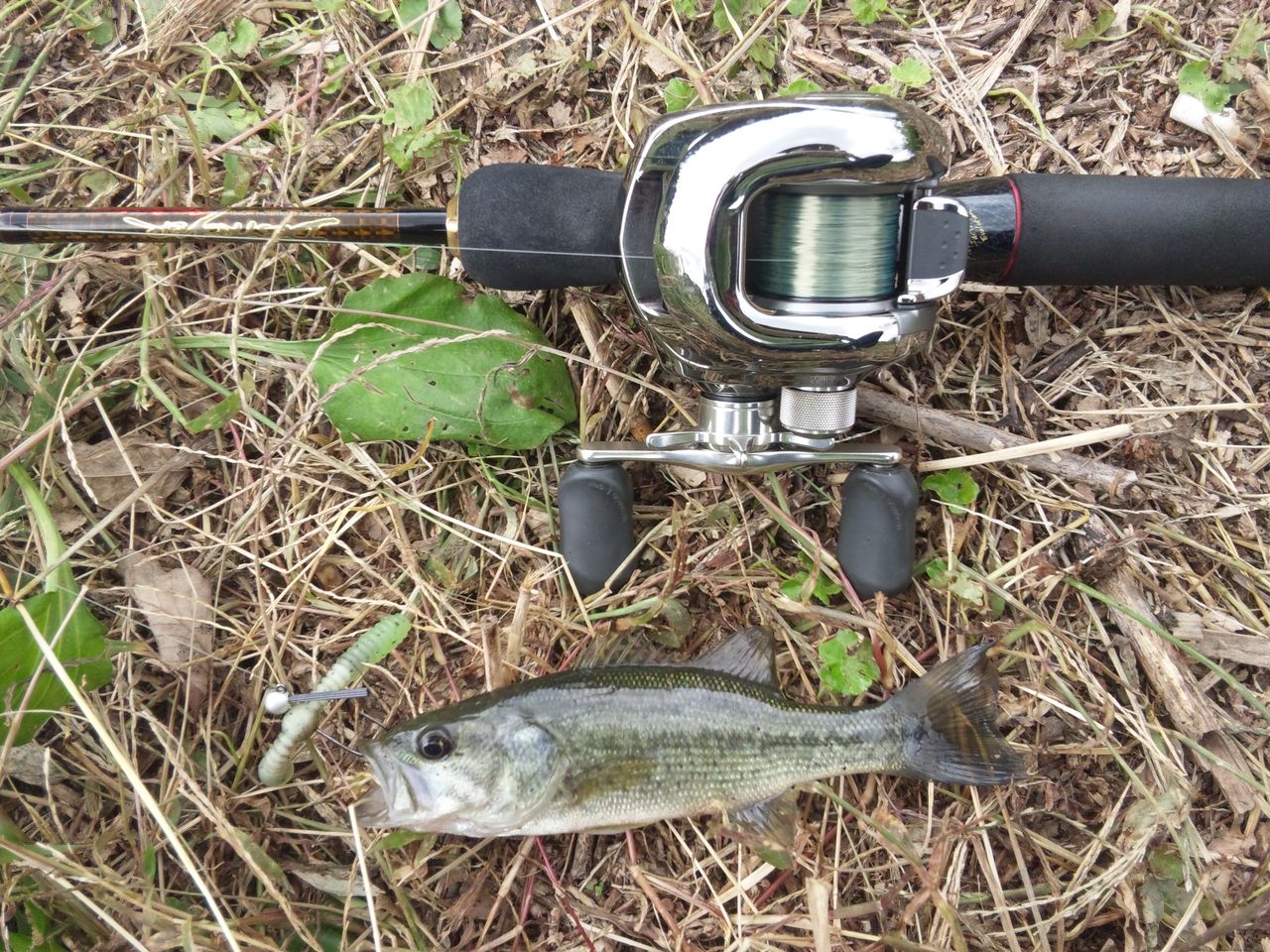 例のぶつ到着 ゚ ゚ 釣り好きオヤジのblog 例のぶつ到着 ゚ ゚ 釣り好きオヤジのblog