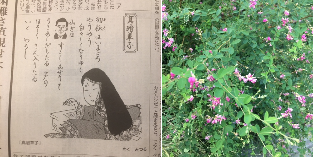 月齢 8 8 庭食亭日記