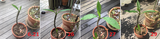 puru1