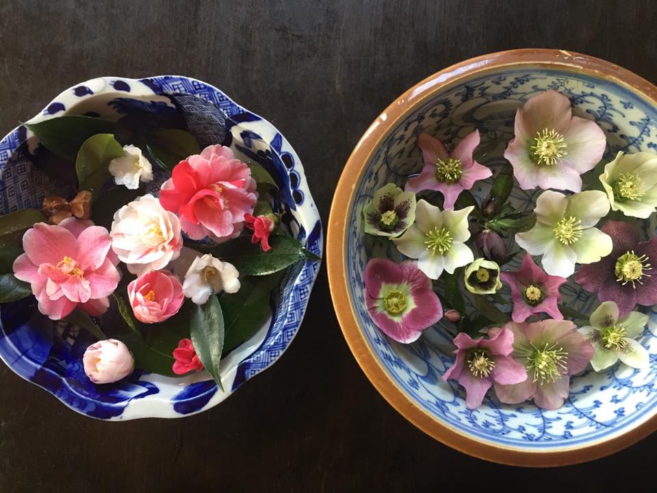 浮花 庭食亭日記