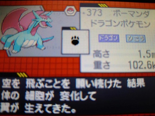 努力値は252 ボーマンダ 純愛的に考えて