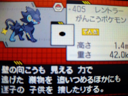 努力値は252 レントラー 純愛的に考えて