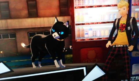 ペルソナ5 プレイ日記 ３８ 2週目もやっぱりモルガナさんlove ゲーム第3工房