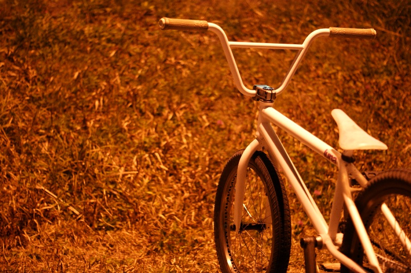 Primo / Tall boy Barに学ぶ「僕がハンドルを高くする理由」 : BMX