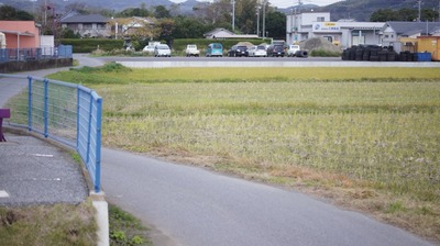 th_DSC04096
