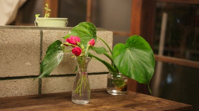 gr_DSC05235