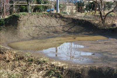 th_DSC05957