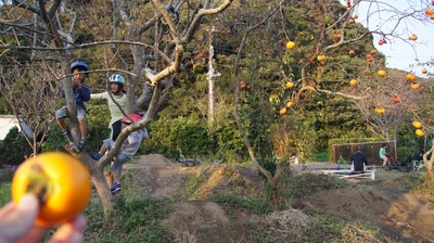 gr_DSC04901