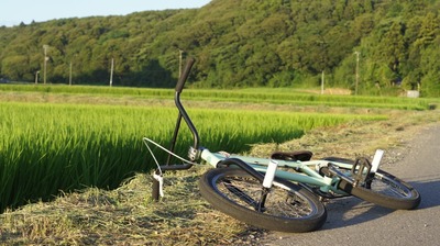 th_DSC02432