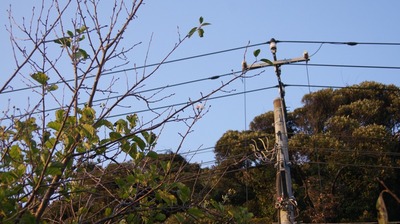 gr_DSC04903