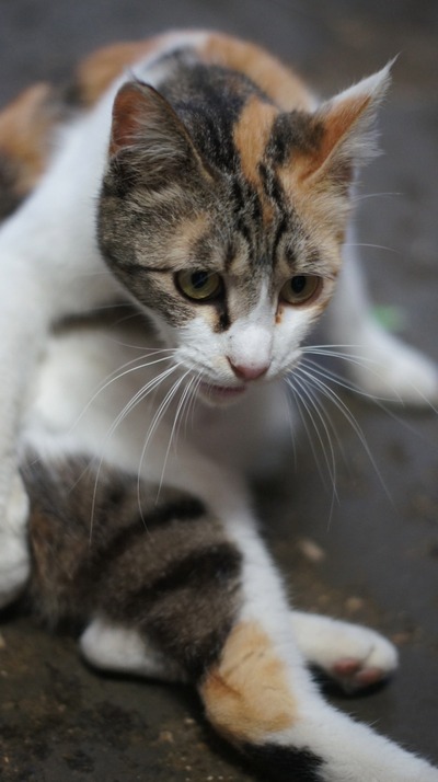 th_DSC01257