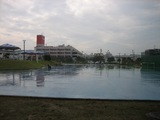 th_IMG_0491