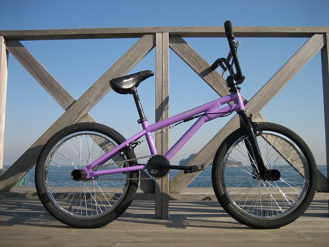 マルチボーダーシリーズ BMX フレーム フラットランド用 ドラゴン