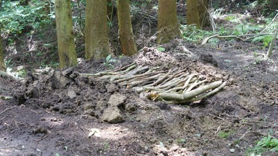 th_DSC09180