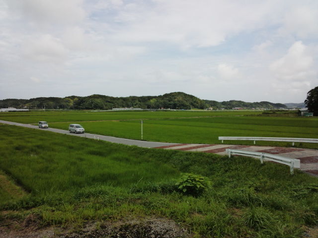 IMG_20130628_135710441