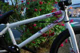 th_DSC01640