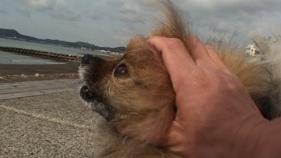 th_DSC02724
