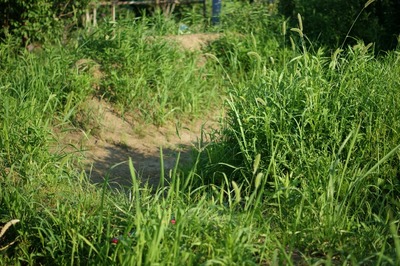 th_DSC04032