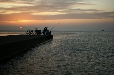 th_DSC08786