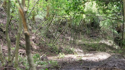 th_DSC09133