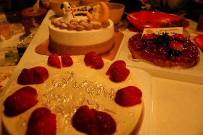 th_DSC06751