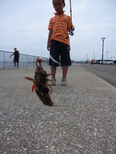th_IMG_0521