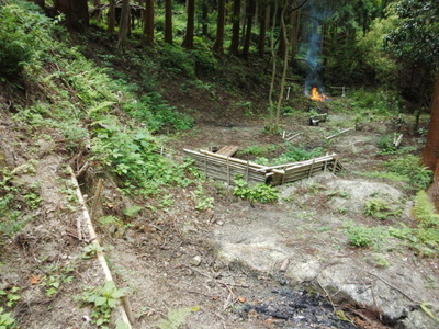 IMG_20130717_110722440