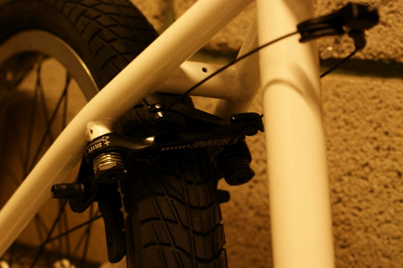 Kink / Apex 10'」 : BMXライダー/岡山 潤 日記