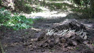 th_DSC09183