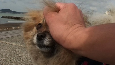 th_DSC02723