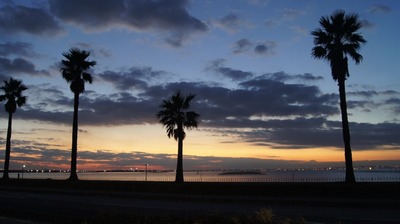 gr_DSC05629