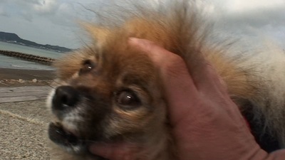 th_DSC02725