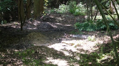th_DSC09184