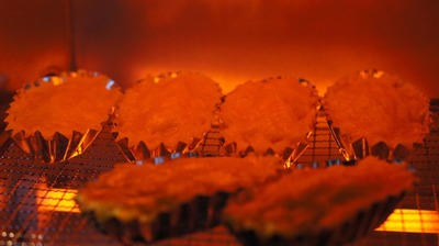 th_DSC04417