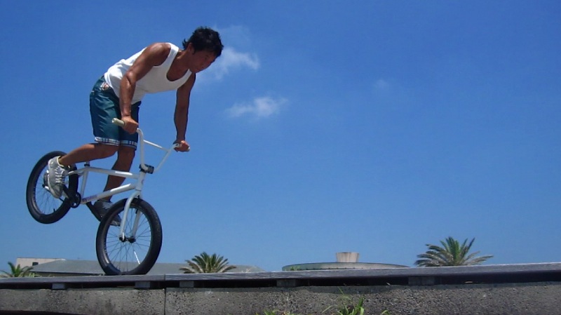 BMXバー PRIMO TALL BOY BAR 8.25”