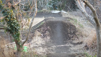 th_DSC05274