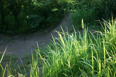 th_DSC04033
